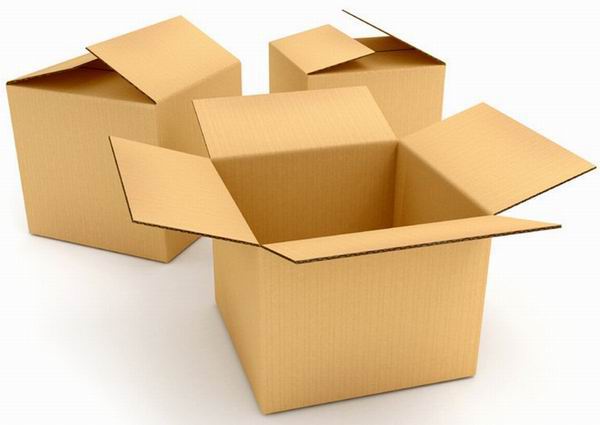 Nhà khoa học xác định loại thùng carton đã gắn liền với cuộc sống